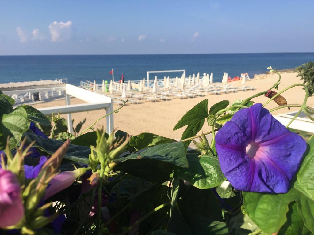Magia Del Salento Hotel Torre San Giovanni Buitenkant foto